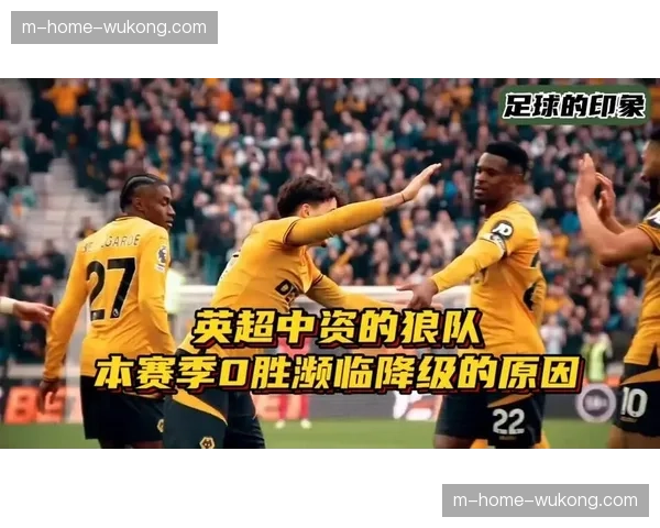 狼队降级情况下收入反升 英超转播分成体系保障明显